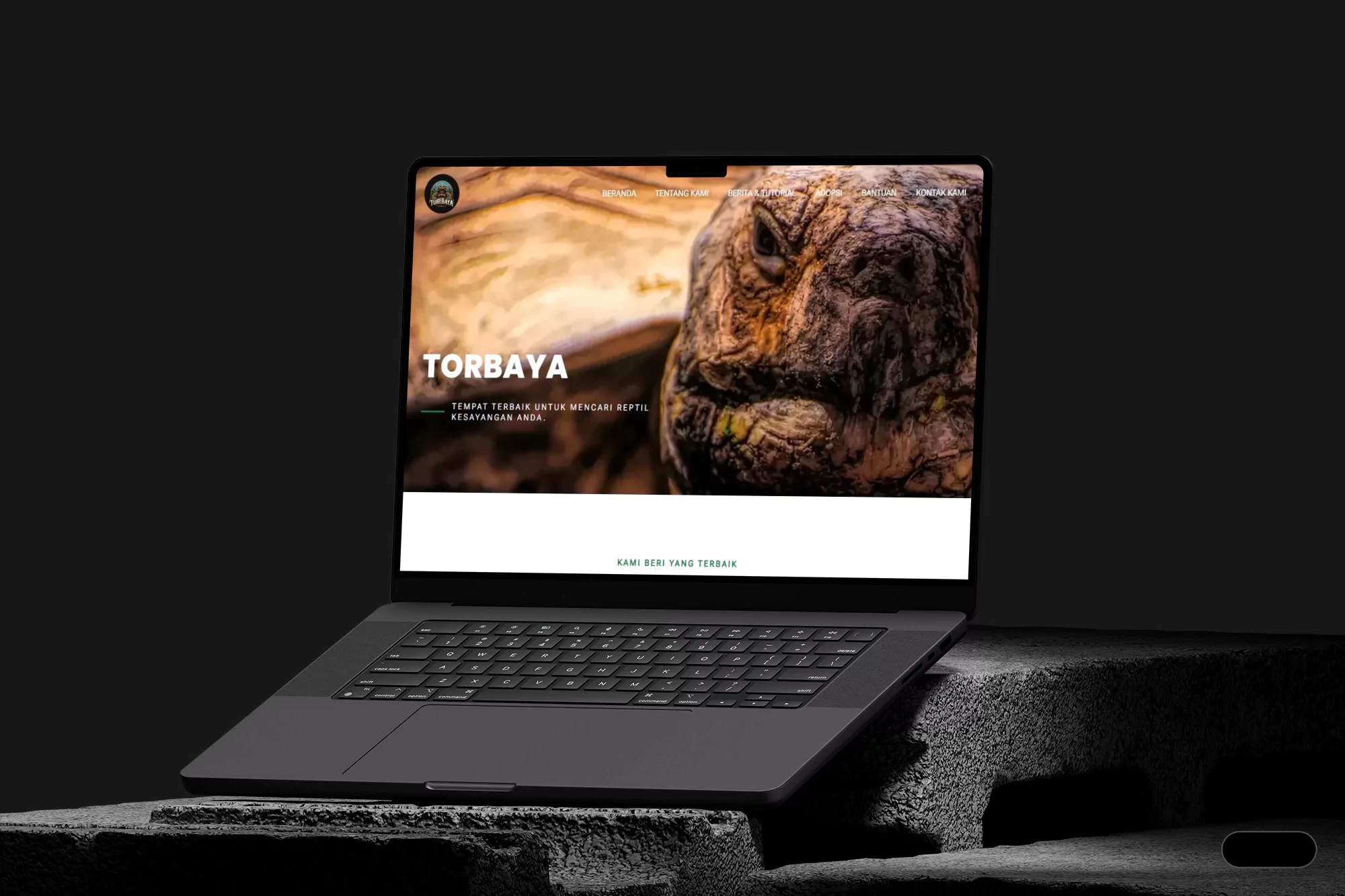 torbaya.com